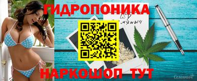 метадон Лесосибирск