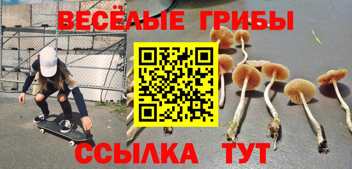 Галлюциногенные грибы Psilocybe  Псилоцибиновые грибы мухоморы  Вход с VPN  Коркино 